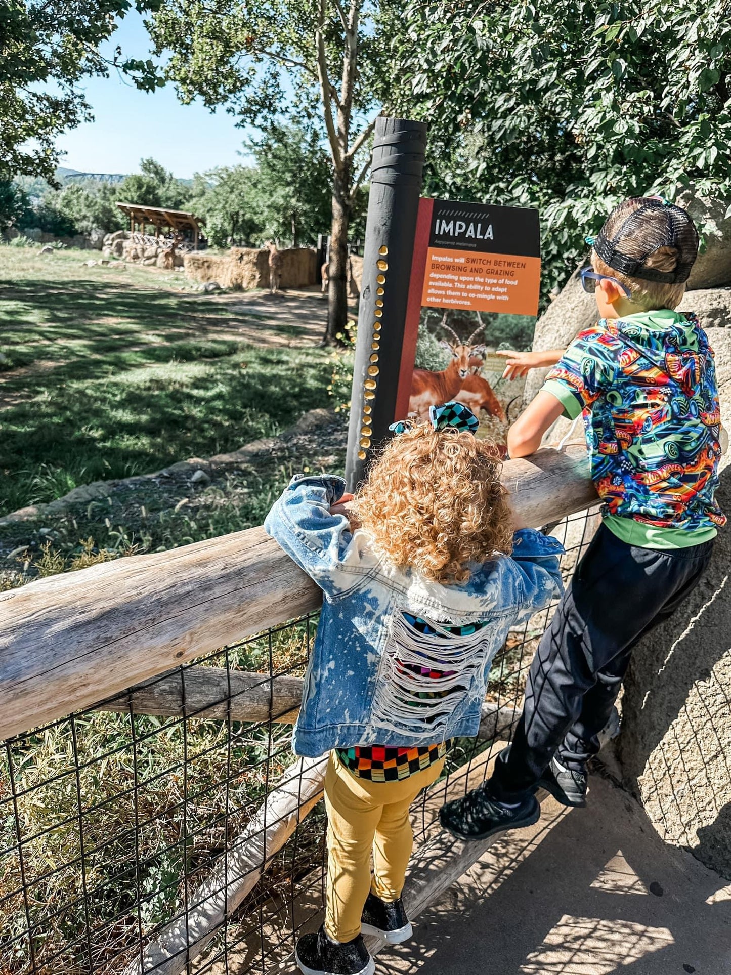 Jean Jackets: Baby, Toddler, & Child